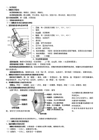 初中生物中考复习 生物全册中考知识点汇总