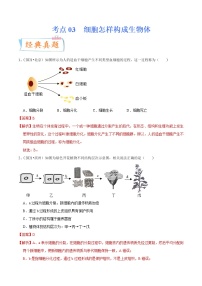 初中生物中考复习 考点03 细胞怎样构成生物体-备战2022年中考生物一轮复习考点微专题