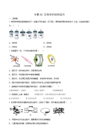 初中生物中考复习 专题02 生物体的结构层次-2020年中考生物挑战压轴题（原卷版）