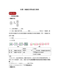 初中生物中考复习 专题03 细胞怎样构成生物体（原卷版）