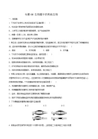 初中生物中考复习 专题08 生物圈中的其他生物-2020年中考生物挑战压轴题（原卷版）