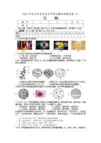 2023年湖南省张家界市一模生物试题