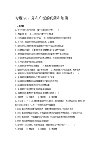 初中生物中考复习 中考生物会考复习专项训练20：广泛分布的真菌和细菌（基础版，含详解）