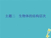 初中生物中考复习 中考生物会考总复习主题二生物体的结构层次课件新人教版