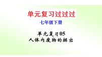 单元复习05 人体内废物的排出【知识梳理】——2022-2023学年人教版生物七年级下册单元综合复习