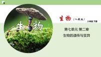 第七单元第2章 生物的遗传与变异（复习课件）- 2022-2023学年人教版生物八年级下册单元综合复习