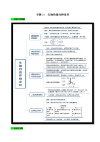 初中生物中考复习 专题16 生物的遗传和变异（原卷版）