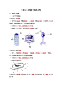 初中生物中考复习 专题16 生物圈中的微生物（解析版）