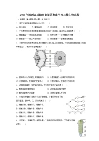 2023年陕西省咸阳市秦都区电建学校三模生物试卷（含解析）