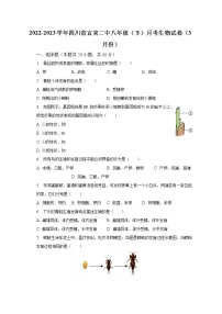 2022-2023学年四川省宜宾二中八年级（下）月考生物试卷（3月份）（含解析）