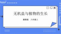 生物八年级上册第三单元  植物的生活第二章  根的吸收作用第三节  无机盐与植物的生长优秀ppt课件