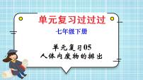 单元复习05 人体内废物的排出【知识梳理】——2022-2023学年人教版生物七年级下册单元综合复习课件PPT