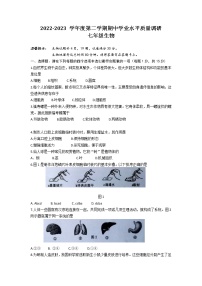 江苏省连云港市海州区2022-2023学年七年级下学期期中生物试卷