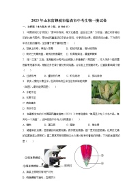 2023年山东省聊城市临清市中考生物一模试卷（含解析）