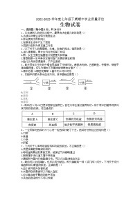 河南省漯河市召陵区2022-2023学年七年级下学期期中生物试题