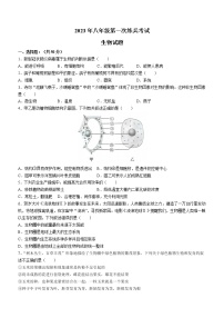 2023年山东省德州市德城区中考一模生物试题（含答案）