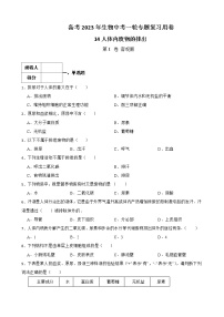 (人教版)2023届中考生物一轮复习专用训练卷—专题14 人体内废物的排出（ 含答案）