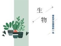 中考生物二轮复习重难点突破精讲课件专题03 绿色开花植物的一生 (含答案)