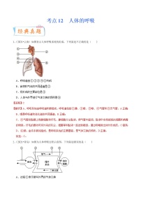 中考生物一轮复习考点练习考点12 人体的呼吸 (含答案)