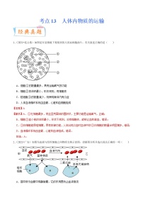 中考生物一轮复习考点练习考点13 人体内物质的运输 (含答案)