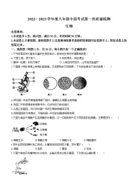 2023年河南省周口市川汇区中考一模生物试题（含答案）