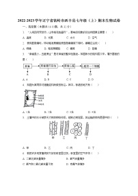 2022-2023学年辽宁省铁岭市西丰县七年级（上）期末生物试卷（含解析）