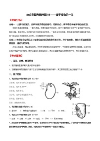 中考生物二轮复习专题03 被子植物的一生（教师版）