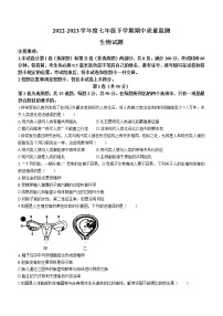 山东省临沂市郯城县2022-2023学年七年级下学期期中生物试题（含答案）