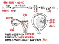 人教版 (新课标)七年级下册第一节 食物中的营养物质教课内容课件ppt