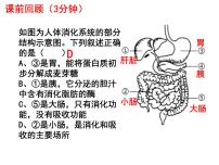 生物七年级下册第三节 合理营养与食品安全教案配套ppt课件