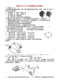 湖北省黄石市四棵中学中考生物模拟卷 (含答案)