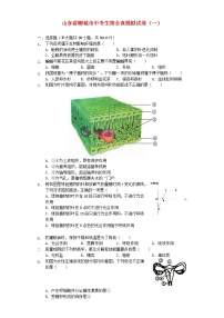 山东省聊城市中考生物全真模拟试卷 (含答案)