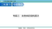 中考生物二轮精准高效复习课件专题03生物体的结构层次 (含答案)