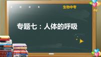 中考生物一轮复习核心考点复习精品课件专题07 人体的呼吸 (含答案)