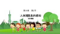 苏科版八年级上册2 人体对信息的感知教学课件ppt