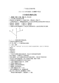 广东省韶关市武江区北江实验学校2022-2023学年八年级下学期期中生物试卷(含答案)