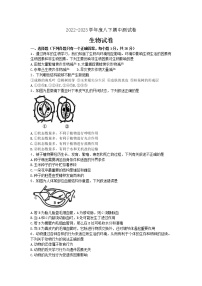 吉林省松原市宁江区四校2022-2023学年八年级下学期期中生物试题(含答案)