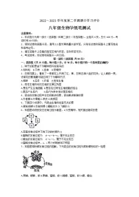 陕西省西安市长安区2022~2023学年八年级下学期期中生物试卷(含答案)
