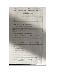 山西省朔州市右玉县第三中学校2022-2023学年七年级下学期期中生物试题