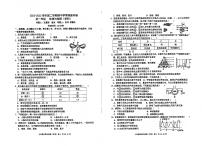 广东省深圳市宝安区2022-2023学年七年级下学期期中生物试题