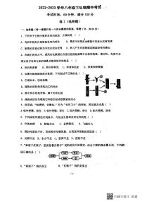 河北省保定市莲池区第一实验中学2022-2023学年八年级下学期期中生物试题