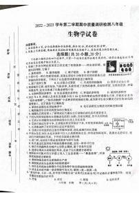 河南省洛阳市伊川县2022-2023学年八年级下学期期中生物试题