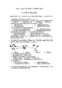 江苏省徐州市贾汪区2022-2023学年七年级下学期期中抽测生物试题