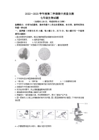 江苏省徐州市铜山区2022-2023学年七年级下学期期中生物试题