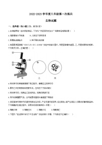 2023年山东省德州市临邑县中考一模生物试题（含答案）