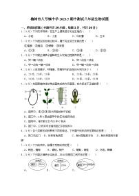 吉林省长春市榆树市八号镇中学校2022-2023学年八年级下学期期中生物试题