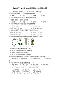 吉林省长春市榆树市八号镇中学校2022-2023学年八年级下学期期中生物试题