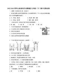 2022-2023学年山东省枣庄市薛城区七年级（下）期中生物试卷（含解析）