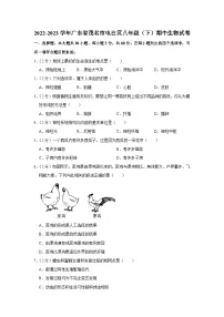 广东省茂名市电白区2022-2023学年八年级下学期期中生物试卷（含答案）