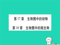 初中生物中考复习 中考生物总复习八上第5单元第17章生物圈中的动物第18章生物圈中的微生物习题课件